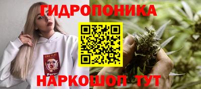 ПСИЛОЦИБИНОВЫЕ ГРИБЫ Малгобек